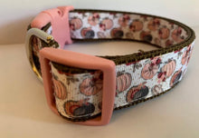 Load image into Gallery viewer, Pink and Brown Girly Pumpkins Large Fall 1 inch Dog Collar on Pink or Brown Nylon