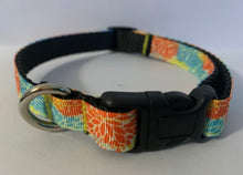 Load image into Gallery viewer, Yellow, Blue, Orange Burst Flowers Spring 5/8 inch Medium Dog Collar