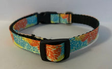 Load image into Gallery viewer, Yellow, Blue, Orange Burst Flowers Spring 5/8 inch Medium Dog Collar