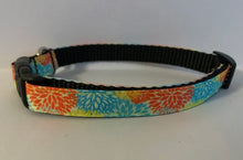 Load image into Gallery viewer, Yellow, Blue, Orange Burst Flowers Spring 5/8 inch Medium Dog Collar