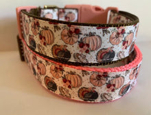 Load image into Gallery viewer, Pink and Brown Girly Pumpkins Large Fall 1 inch Dog Collar on Pink or Brown Nylon