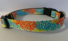 Load image into Gallery viewer, Yellow, Blue, Orange Burst Flowers Spring 5/8 inch Medium Dog Collar