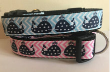 Load image into Gallery viewer, 1 inch Pink Chevron or Blue Chevron and Polka Dot Whales Dog Collar

