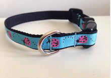 Load image into Gallery viewer, Blue with Pink Ladybugs Small 1/2 inch Dog Collar
