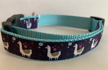 Load image into Gallery viewer, 1 inch Large Navy Blue and Aqua Llama and Flower Dog Collar
