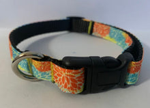 Load image into Gallery viewer, Yellow, Blue, Orange Burst Flowers Spring 5/8 inch Medium Dog Collar
