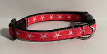 Load image into Gallery viewer, 1/2 Inch Pink Or Aqua Starfish Beach Summer Small Dog Collar
