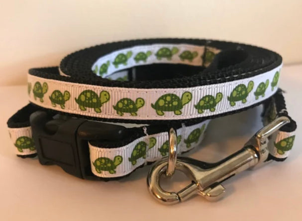 Small 1/2 Inch White and Green Turtles Leash and Collar Set