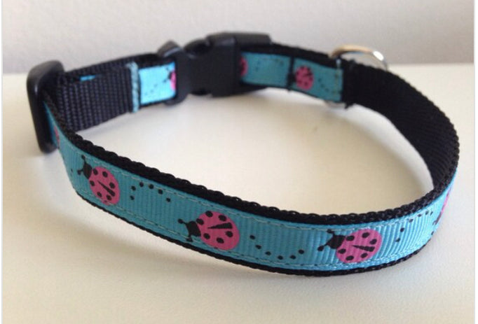 Blue with Pink Ladybugs Small 1/2 inch Dog Collar