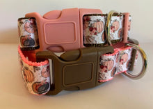 Load image into Gallery viewer, Pink and Brown Girly Pumpkins Large Fall 1 inch Dog Collar on Pink or Brown Nylon
